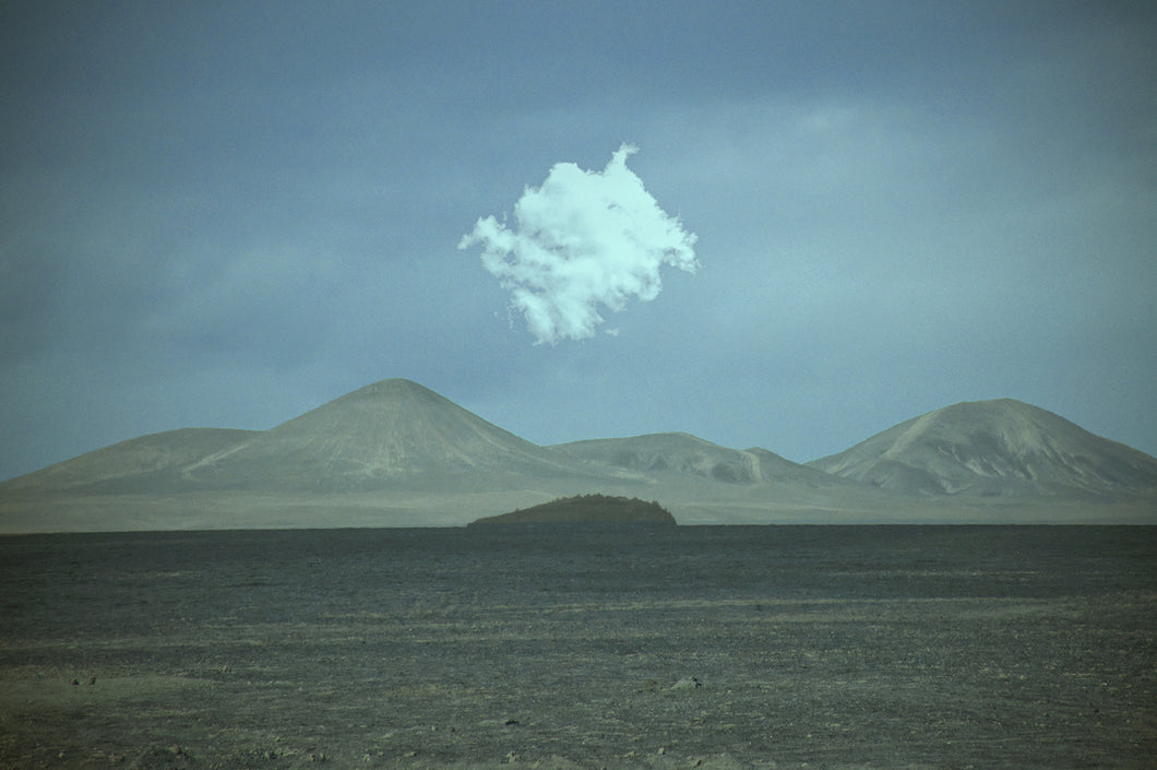 Marcial Ugarte - Isla en el desierto
