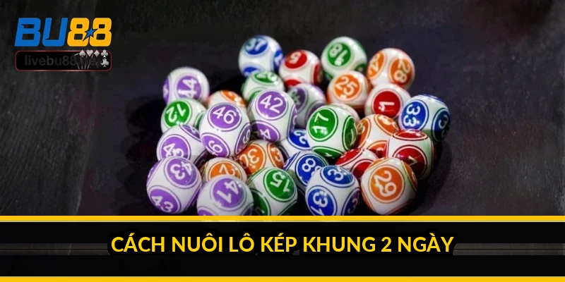 Nuôi lô kép khung 2 ngày: cách chơi và sự thật về "bất bại" 1 Cách nuôi lô kép khung 2 ngày